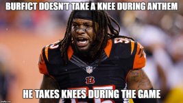 burfict.jpg burfict.jpg