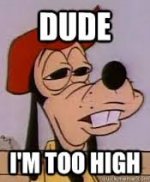 goofy.jpg