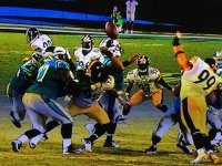 cam-newton-turnover-09212014.jpg