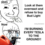 1742323433393.png