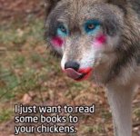 homowolf.jpg