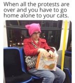 IMG_8117.jpeg