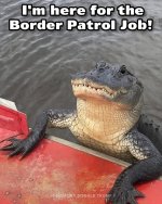 IMG_0058.jpeg