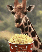 1000004287.gif