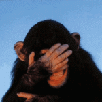 tenor (1).gif