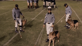 comebacks-referee.png