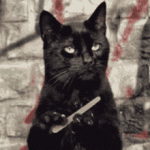 IMG_0414.gif