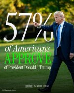 DJT!.jpg