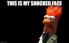 Shocked Face.jpg