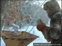 giphy (3).gif