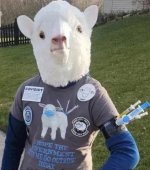 IMG_0212.jpeg IMG_0212.jpeg