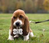 Screenshot_28-11-2025_171138_imgflip.com.jpeg Screenshot_28-11-2025_171138_imgflip.com.jpeg