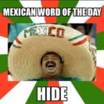 IMG_0439.jpeg IMG_0439.jpeg