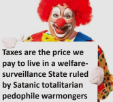 taxes are the price we pay.png