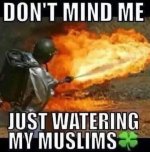 IMG_0506.jpeg IMG_0506.jpeg