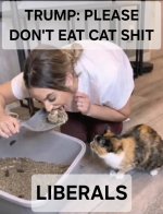 IMG_0520.jpeg IMG_0520.jpeg