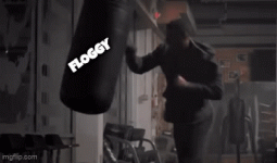 arce5n.gif arce5n.gif