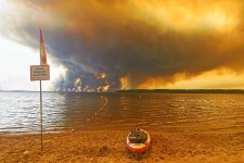 Wildfire.jpg Wildfire.jpg