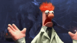 IMG_0423.gif