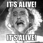 a1f8bff03e96f0634d8da07269517294--frankenstein-quotes-frankenstein-halloween.jpg