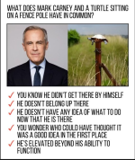 carnie.png