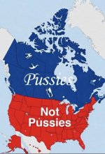 P.jpg
