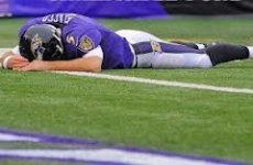 flacco laying on ground.jpg