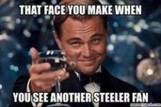 Steeler_Fan_2.jpg