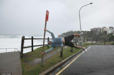 Windy.jpg