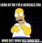 homer bengals.jpg