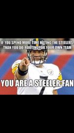 Steeler_Fan_1.jpg