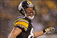 hines-ward_0.jpg