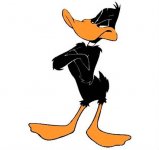 daffy duck cartoons pictures daffy-duck.jpg