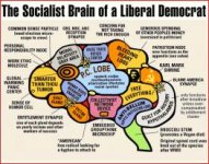 liberal-brain.jpg liberal-brain.jpg
