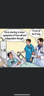 IV.jpg