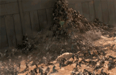 1623010256004.gif