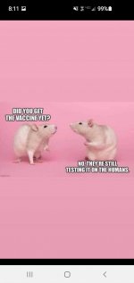 Vaxtaaaaards.jpg