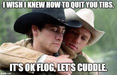 brokeback libtards.jpg