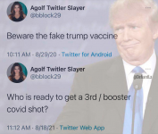 1629389860638.png