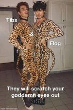 TFlog.jpg