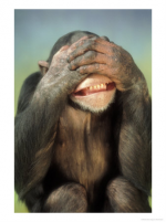 1630678901597.png