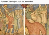 1631108643752.jpeg