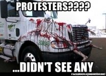 protesters-didnt-see-any.jpg