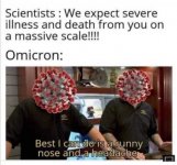 Omahoax.jpg