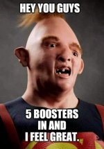 Vaxsheeptards.jpg