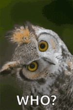 A50773CE-D7A3-4442-8AB1-1ED4DDA1CA3F.gif